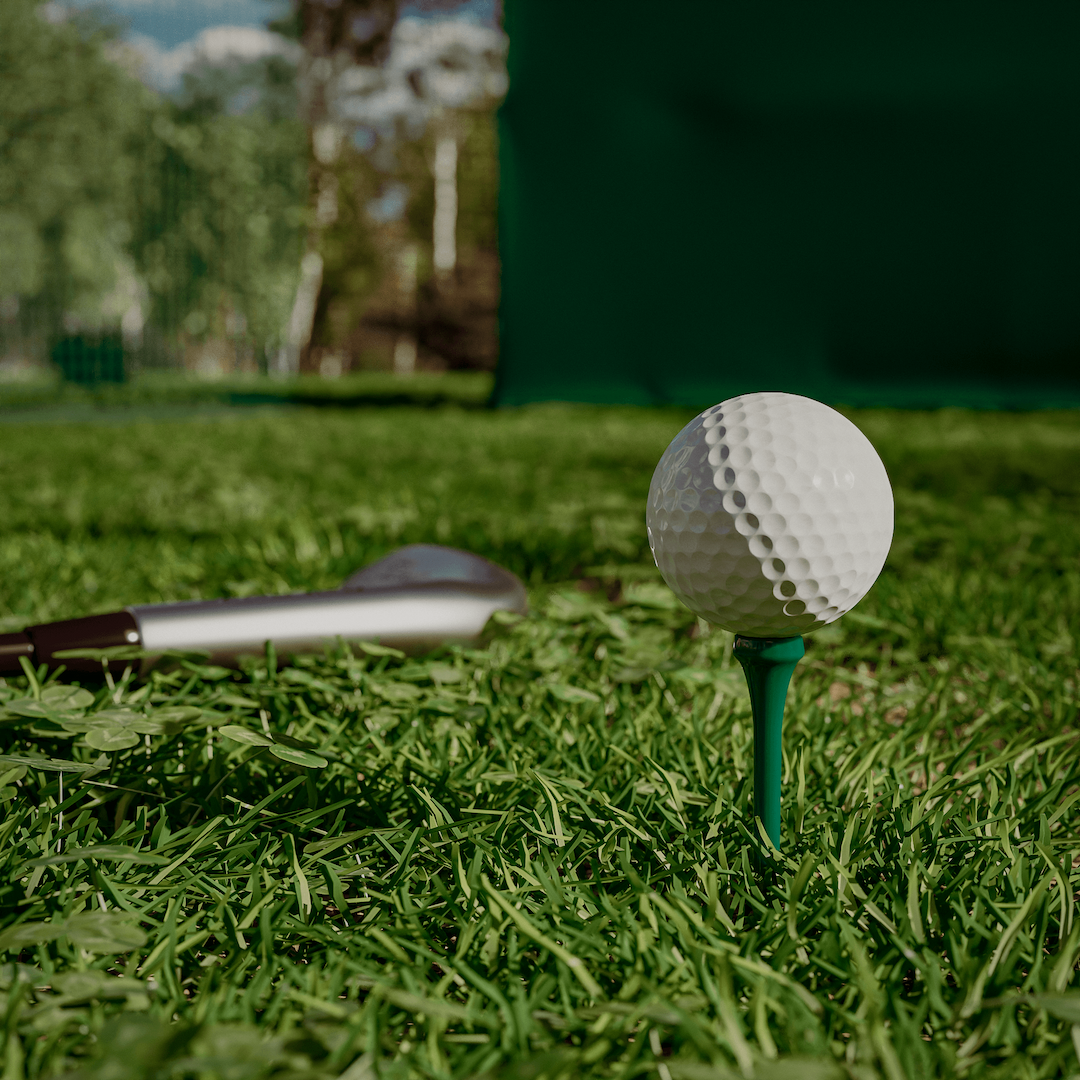 3D rendering generated with a geometry shader to realistically simulate grass.